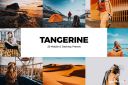 20_Tangerine_Lightroom_Presets___LUTs.jpg