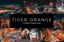 20_Tiger_Orange_Lightroom_Presets___LUTs.jpg