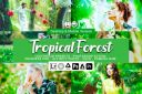 20_Tropical_Forest_Presets.jpg