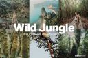 20_Wild_Jungle_Lightroom_Presets___LUTs.jpg