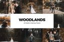 20_Woodlands_Lightroom_Presets_and_LUTs.jpg