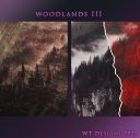 21-dcd-woodlandsiii.jpg