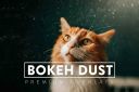 30_Bokeh_Dust_Overlays~4.jpg