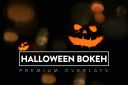 30_Halloween_Bokeh_Overlay~1.jpg