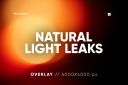 30_Natural_Light_Leaks_Overlay_HQ.jpg