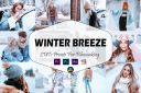 3_Winter_Breeze_Video_LUTs_Presets.jpg