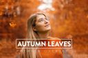 40_Autumn_Leaves_Overlays~4.jpg