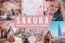 50_Sakura_Pink_Lightroom_Presets_and_LUTs.jpg