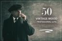 50_Vintage_Mood_LUTs_and_Prsets_Pack.jpg