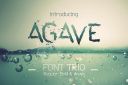 Agave_Font_Trio~2.jpg