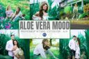 Aloe_Vera_Mood_Photoshop_Actions2C_LUTs.jpg