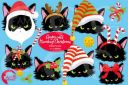 Angry_Cat_Christmas_Dress_Up_2693~1.jpg