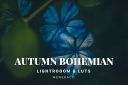 Autumn_Bohemian_Lightroom___LUTs.jpg