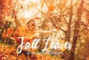 Autumn_Leaves_Overlays2C_Falling_Leaves_1~1.jpg