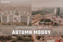 Autumn_Moody_LUTs_and_Lightroom_Presets.jpg