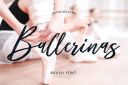 Ballerinas_Brush_Script_Font~1.jpg