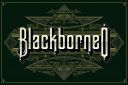 BlackBorneo~1.jpg