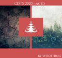 CDTS2020-WTaged.jpg