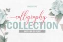 Calligraphy_Bundle~1.jpg