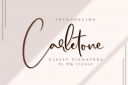 Carletone_-_Classy_Signature_Script~1.jpg