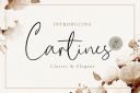 Cartines_Signatures~1.jpg