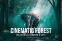 Cinematic_Forest_Lightroom_Presets___LUTs.jpg