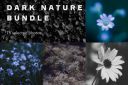 Dark_Nature_Bundle~3.jpg