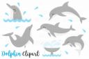 Dolphin_Clipart~1.jpg