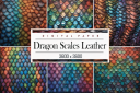 Dragon_Scales_Leather.png