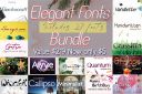 Elegant_Fonts_Bundle~1.jpg