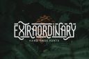 Extraordinary_-_Handmade_Font~1.jpg