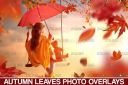 Fall_Clipart2C_Autumn_Leaves_Overlay~5.jpg