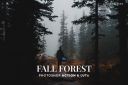 Fall_Forest_Photoshop_Action_LUTs.jpg