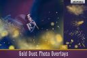 Gold_Dust_Photo_Overlays~0.jpg