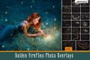 Golden_Fireflies_Photo_Overlays~3.jpg