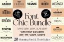 Luxury2C_Chic2C_and_Elegant_Font_Bundle.jpg