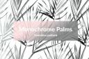 Monochrome_Palms~2.jpg