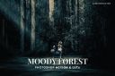 Moody_Forest_Photoshop_Action_LUTs.jpg