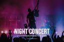 Night_Concert_Lightroom_Presets___LUTs.jpg