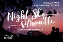 Night_Sky_Silhouette_Actions~0.jpg