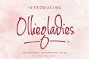 Olliegladies2C_Chic_Handwritten_Typeface~1.jpg