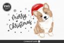 Painted_Corgi_Dog_and_Christmas_Hat~1.jpg