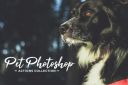 Pet_Photoshop_Actions_Collection_CS5~0.jpg