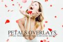 Petals_Overlays~5.jpg