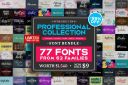 Professional_Collection_Font_Bundle~1.jpg