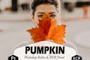 Pumpkin_Photoshop_Actions_and_ACR_Preset_CS6~0.jpg