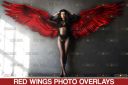 Red_Angel_Wings_Overlay~2.jpg