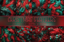 Red_Green_Christmas_Feather_Backgrounds.png