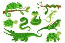 Reptiles_Clipart_Chameleon_Crocodile.jpg