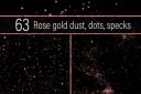 Rose_Gold_Dust~5.jpg